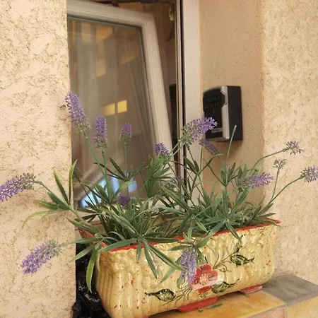 Holiday home Lavender Dream Private Pool